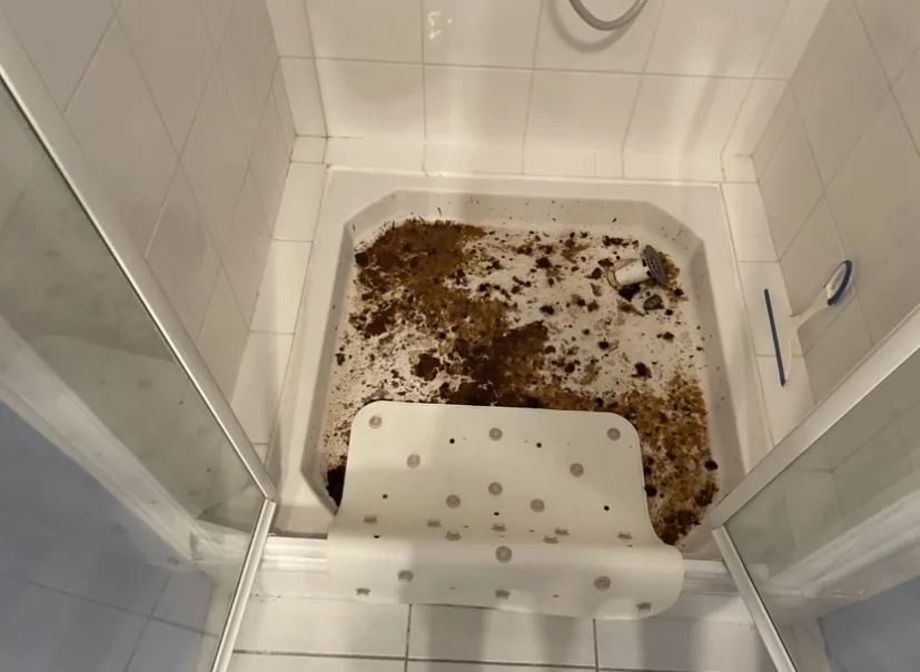 Douche avant remise en état après dégâts liés à un débouchage à Saint-Palais-sur-Mer